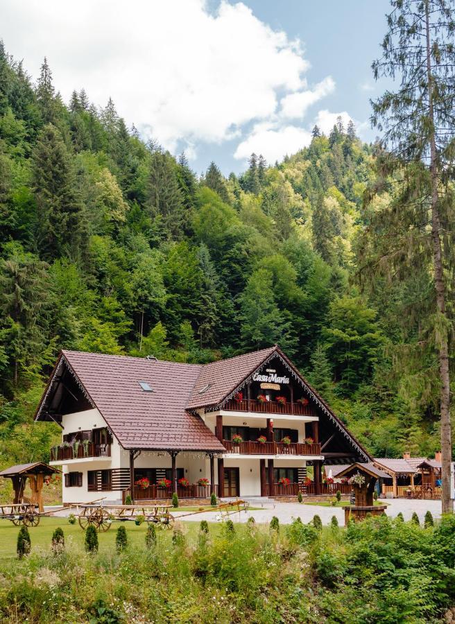 Pensiunea Agroturistica Casa Maria Rodna エクステリア 写真