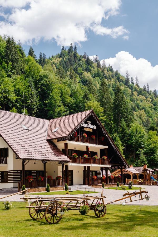 Pensiunea Agroturistica Casa Maria Rodna エクステリア 写真